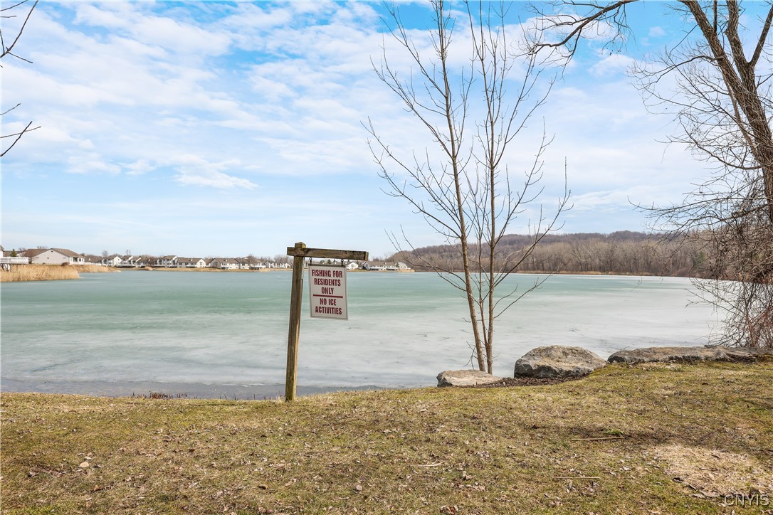 393 Summerhaven Drive, Manlius, New York image 29