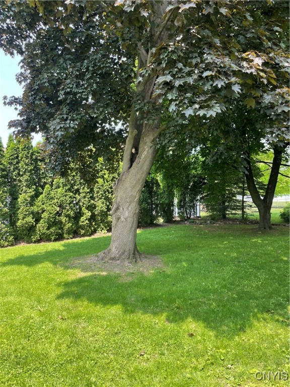25 S Hunter Avenue, Auburn, New York image 46