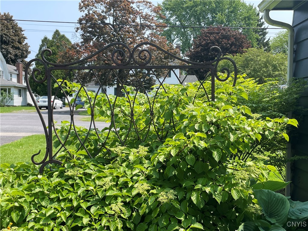 25 S Hunter Avenue, Auburn, New York image 9