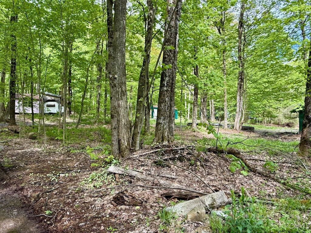 25 Little America Road, Orwell, New York image 3