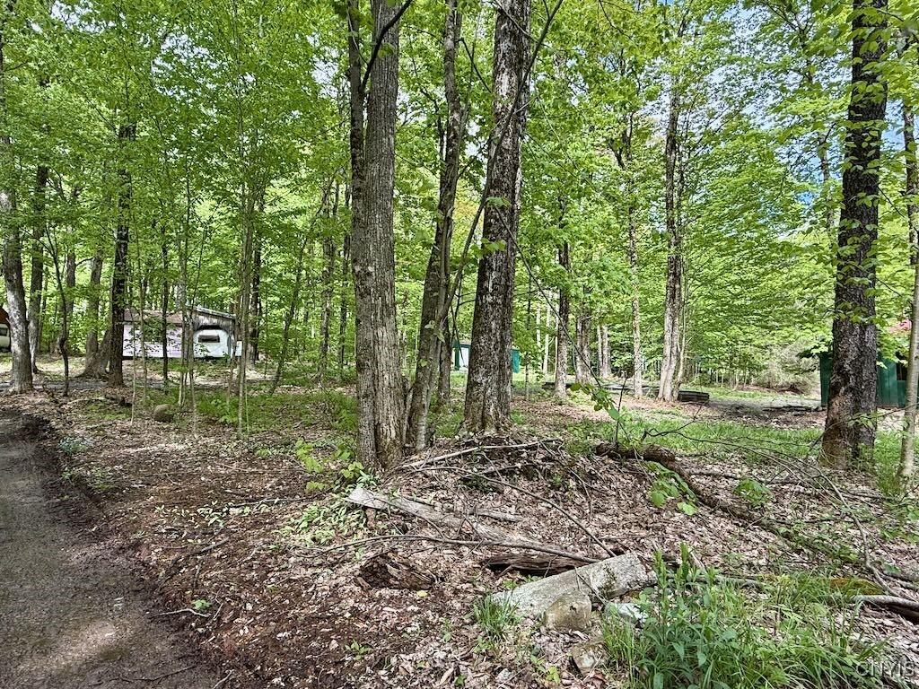 25 Little America Road, Orwell, New York image 2