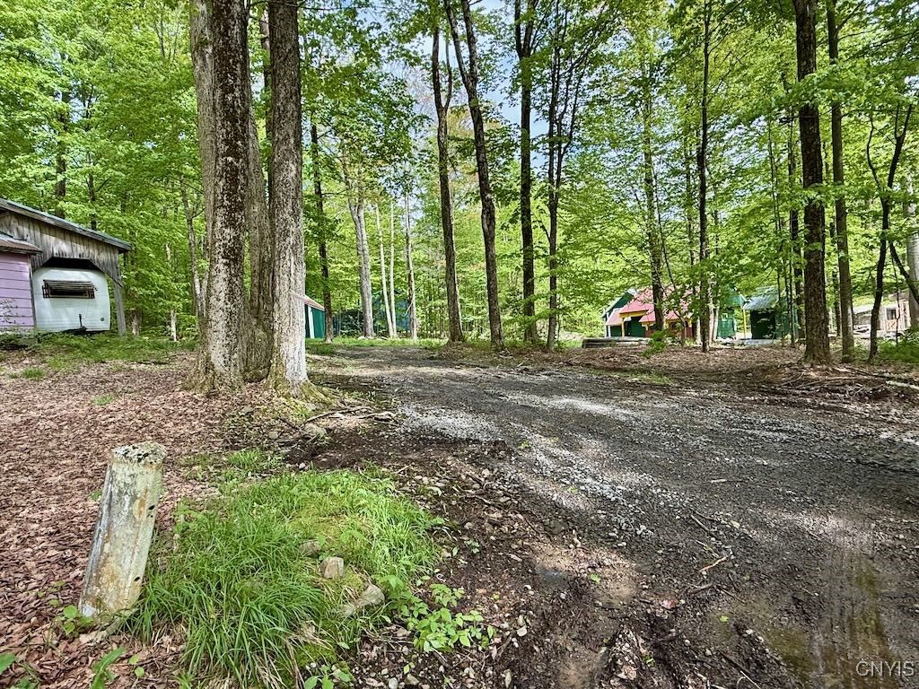25 Little America Road, Orwell, New York image 5