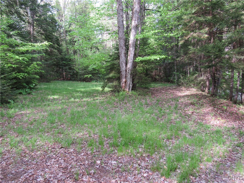 303 Uncas Road, Inlet, New York image 21