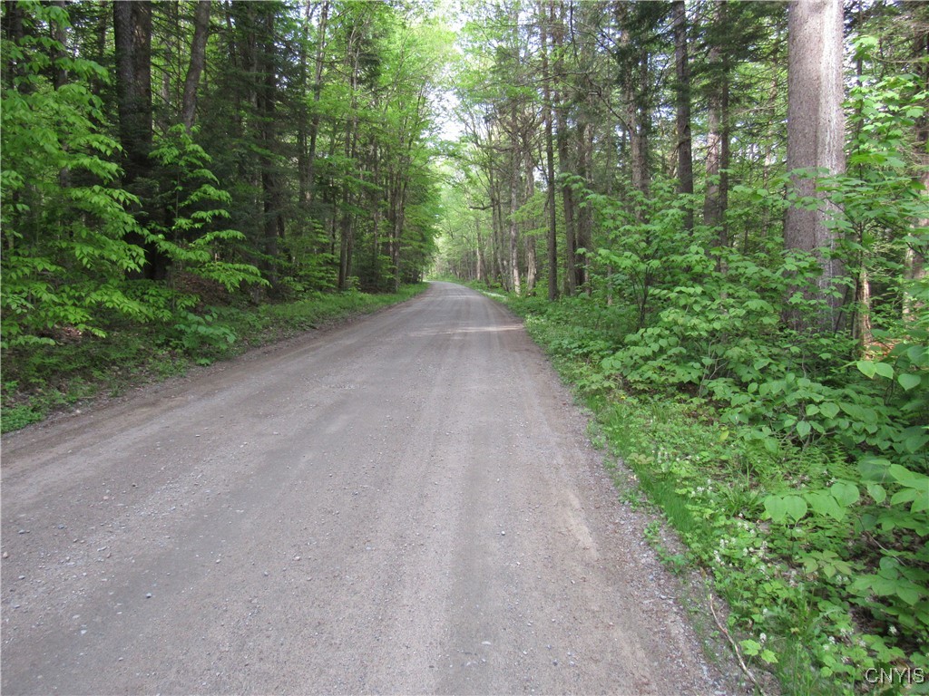 303 Uncas Road, Inlet, New York image 27