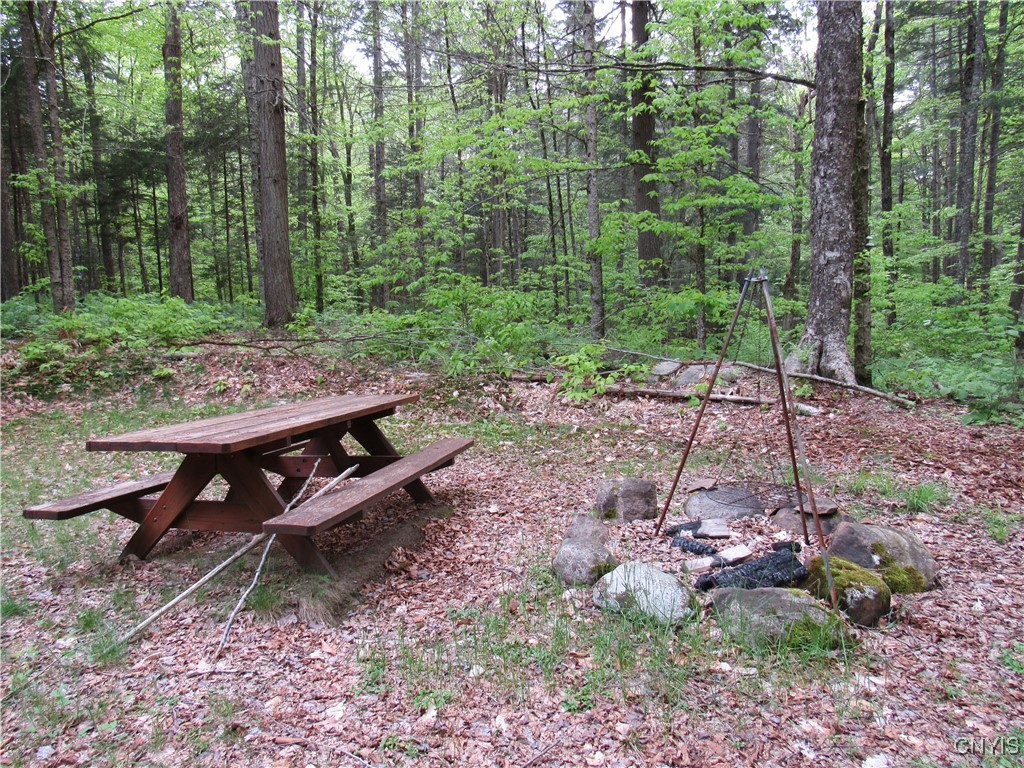 303 Uncas Road, Inlet, New York image 19