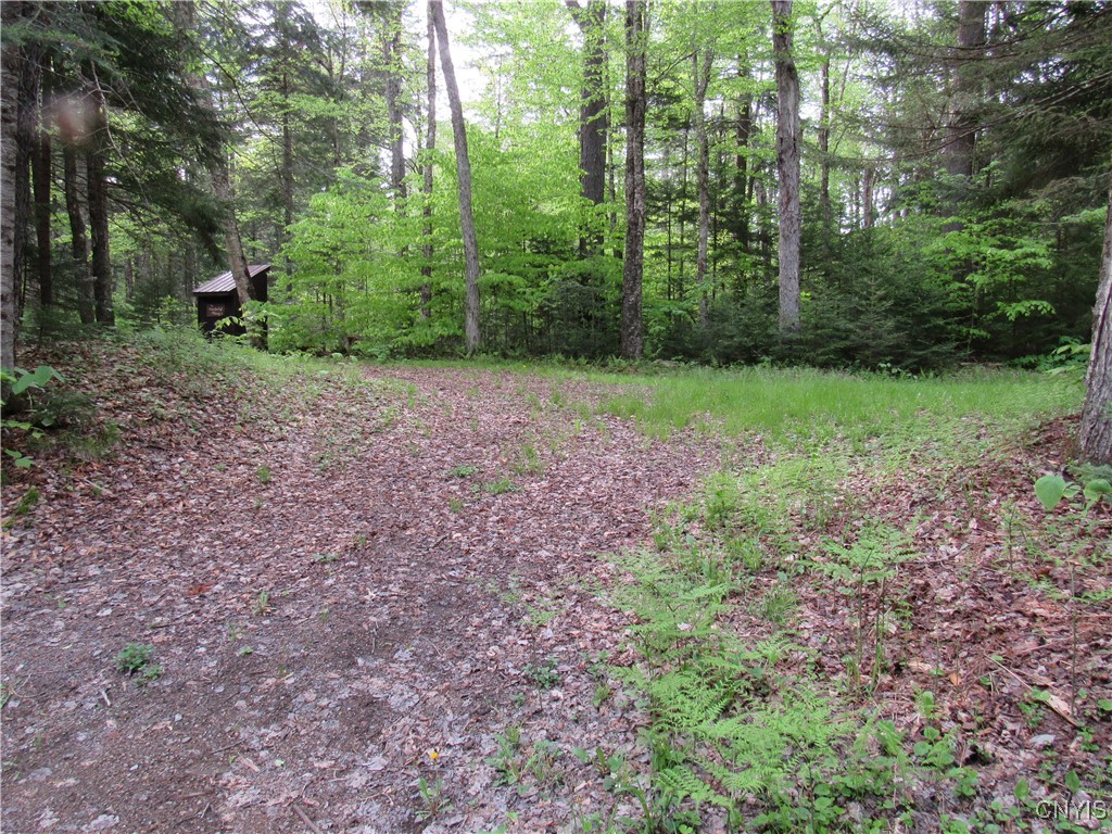 303 Uncas Road, Inlet, New York image 22