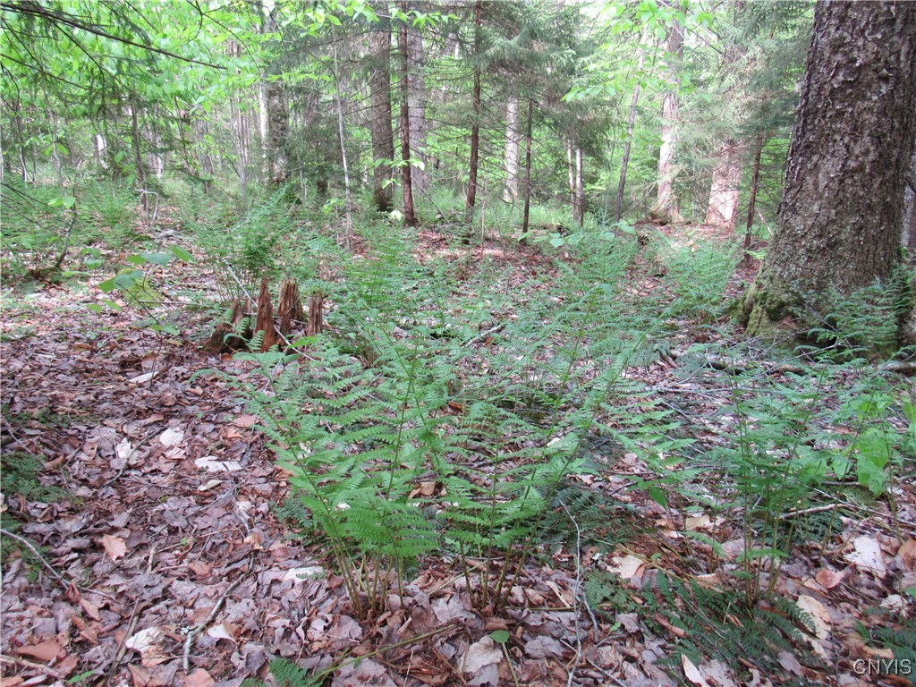 303 Uncas Road, Inlet, New York image 24