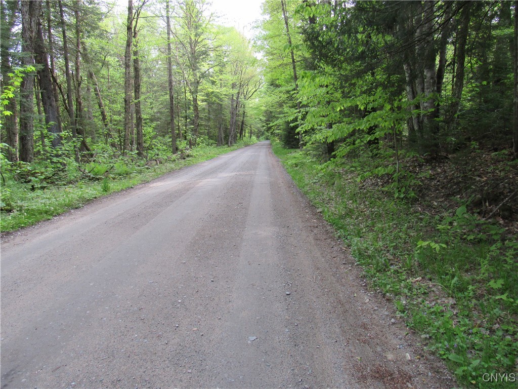 303 Uncas Road, Inlet, New York image 26