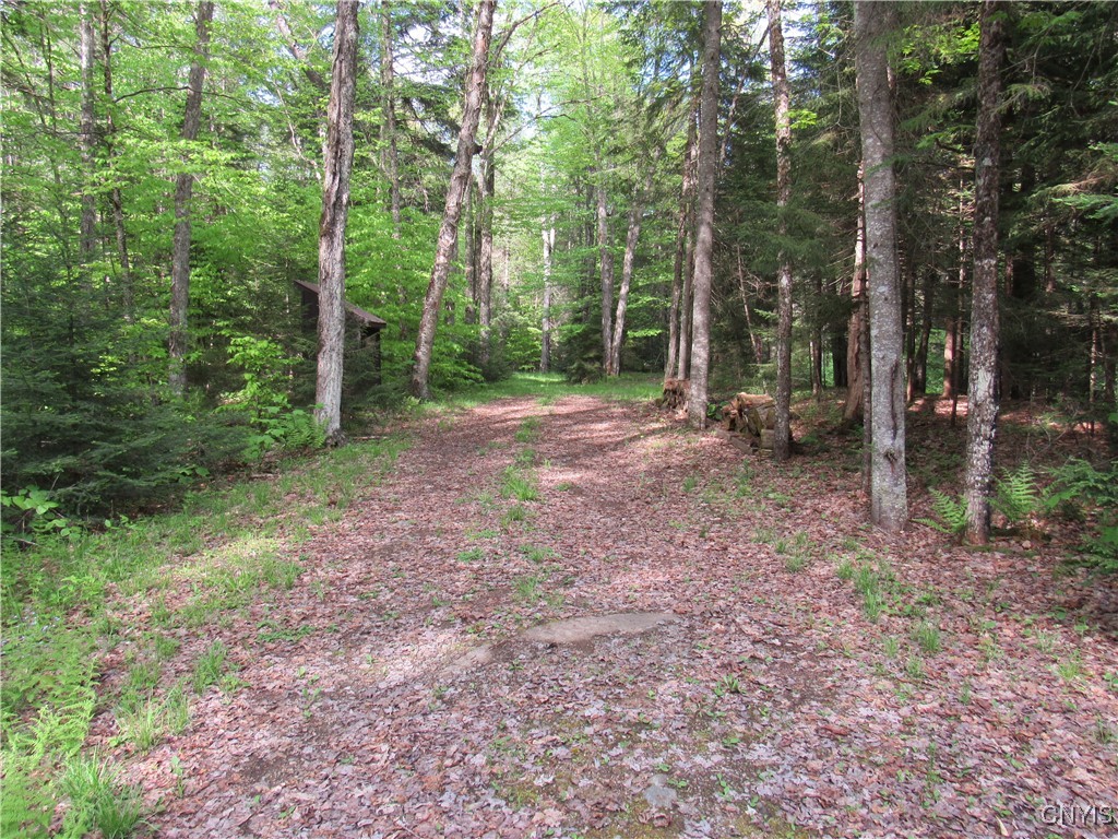 303 Uncas Road, Inlet, New York image 2