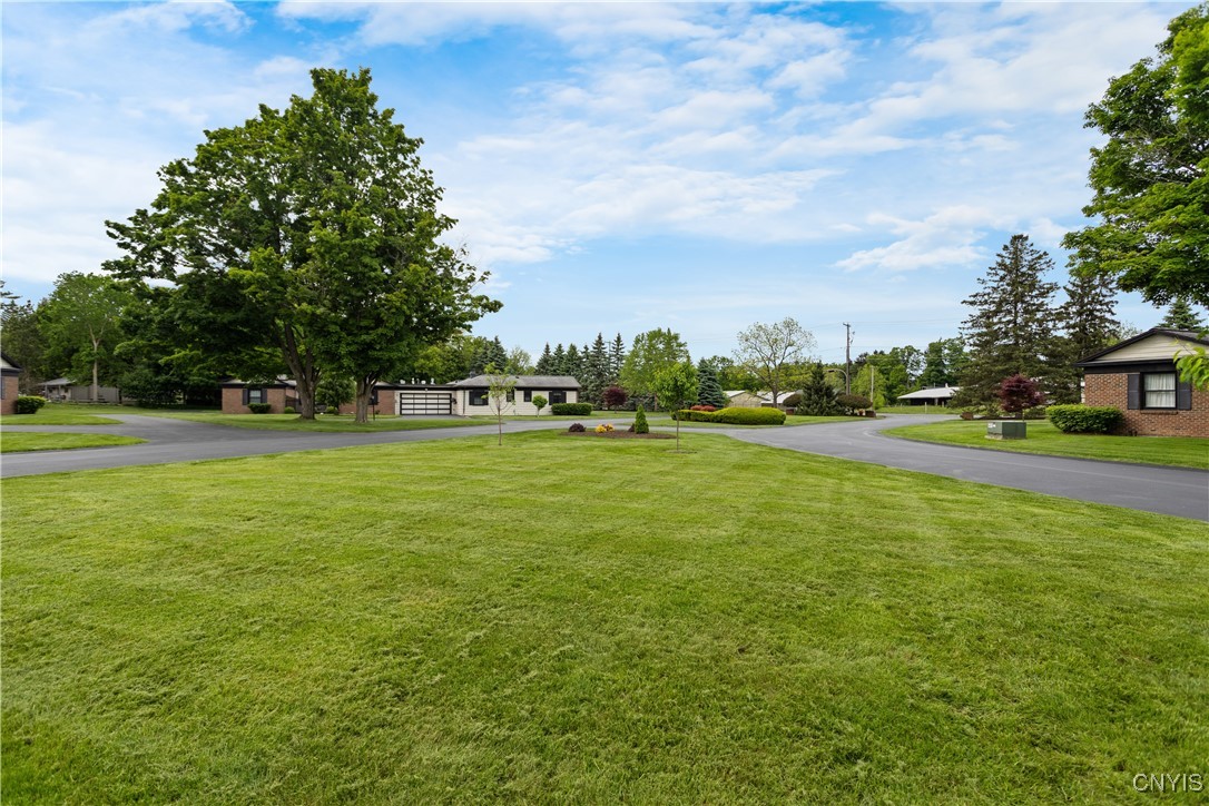 24 The Orchard Orch, Manlius, New York image 29