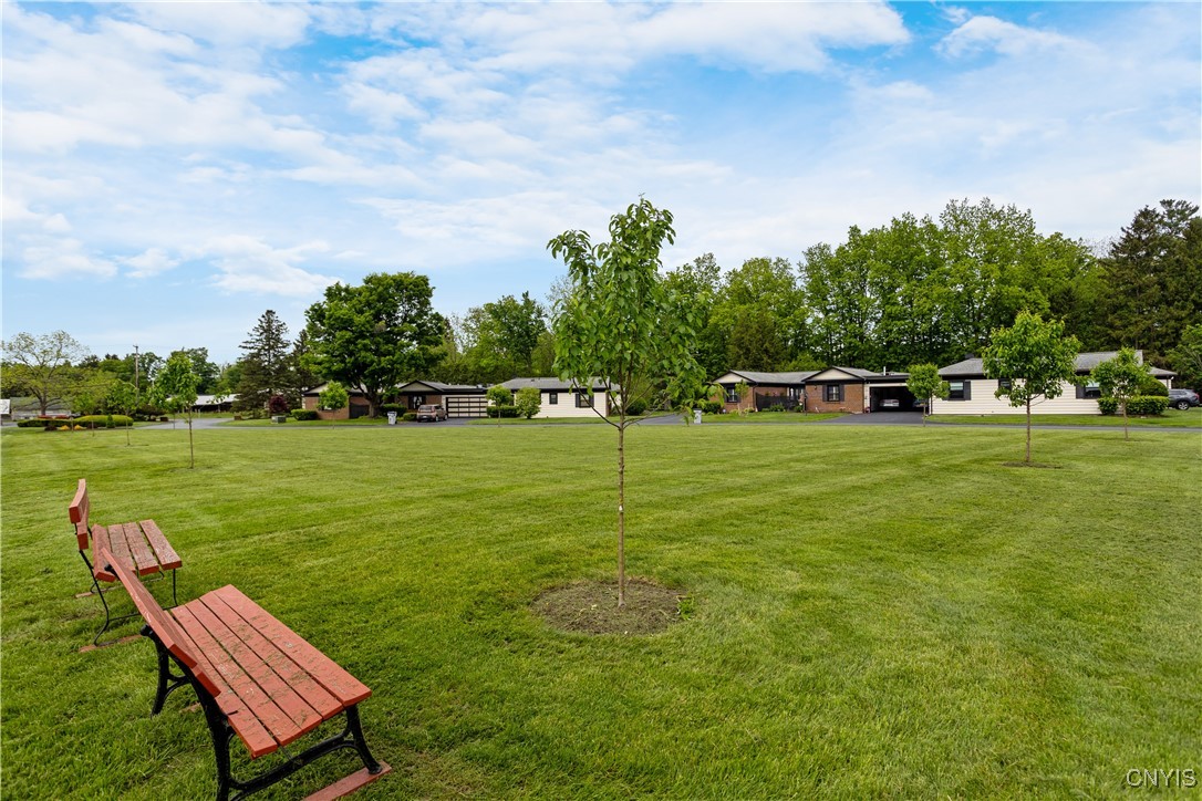 24 The Orchard Orch, Manlius, New York image 28