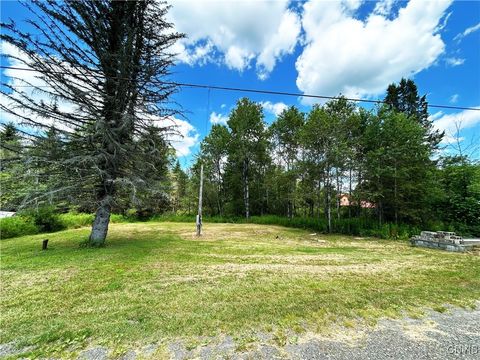 Vacant Land For Sale - 1772 Cr-17<br/> Chenango County, Oxford, NY 13830