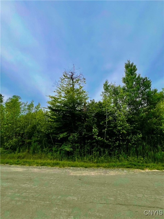 Lot 15 Forest Ridge Drive