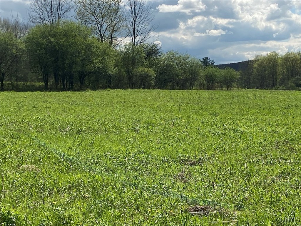 Cr-17, Belfast, New York image 5