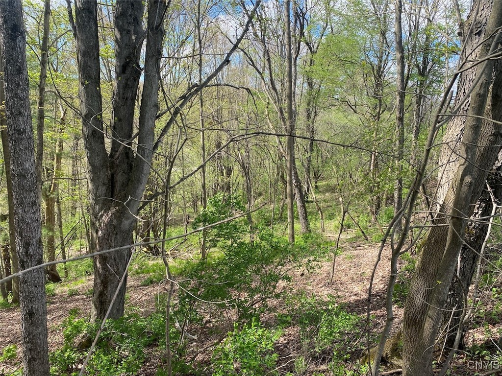 Cr-17, Belfast, New York image 7