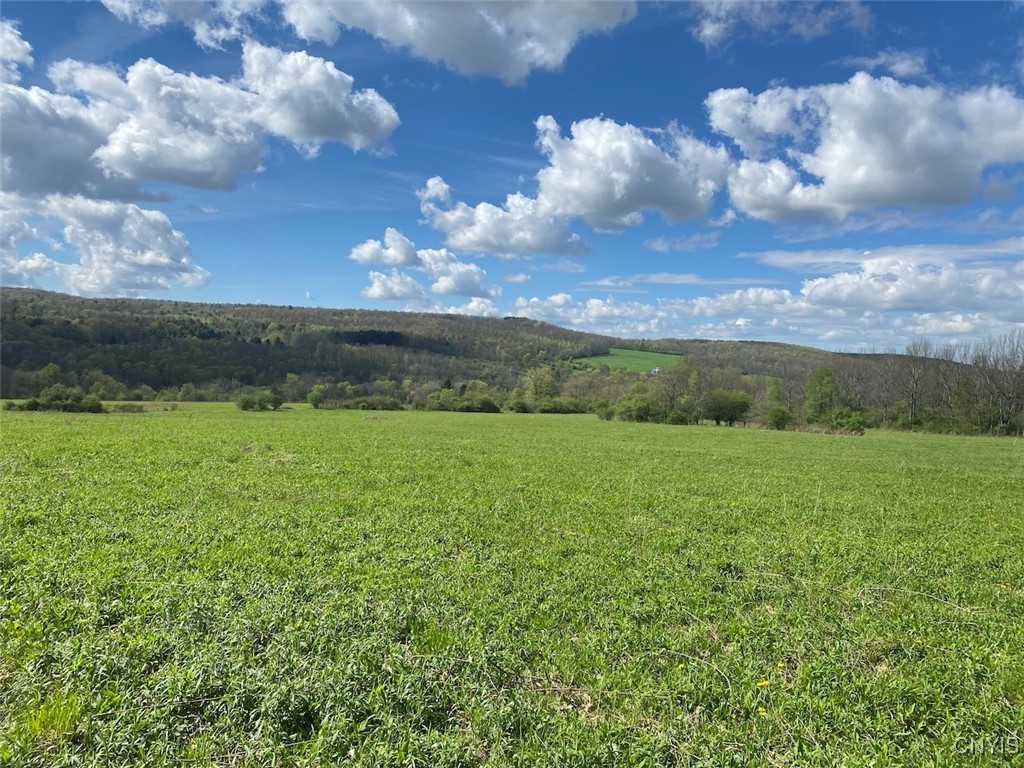 Cr-17, Belfast, New York image 1
