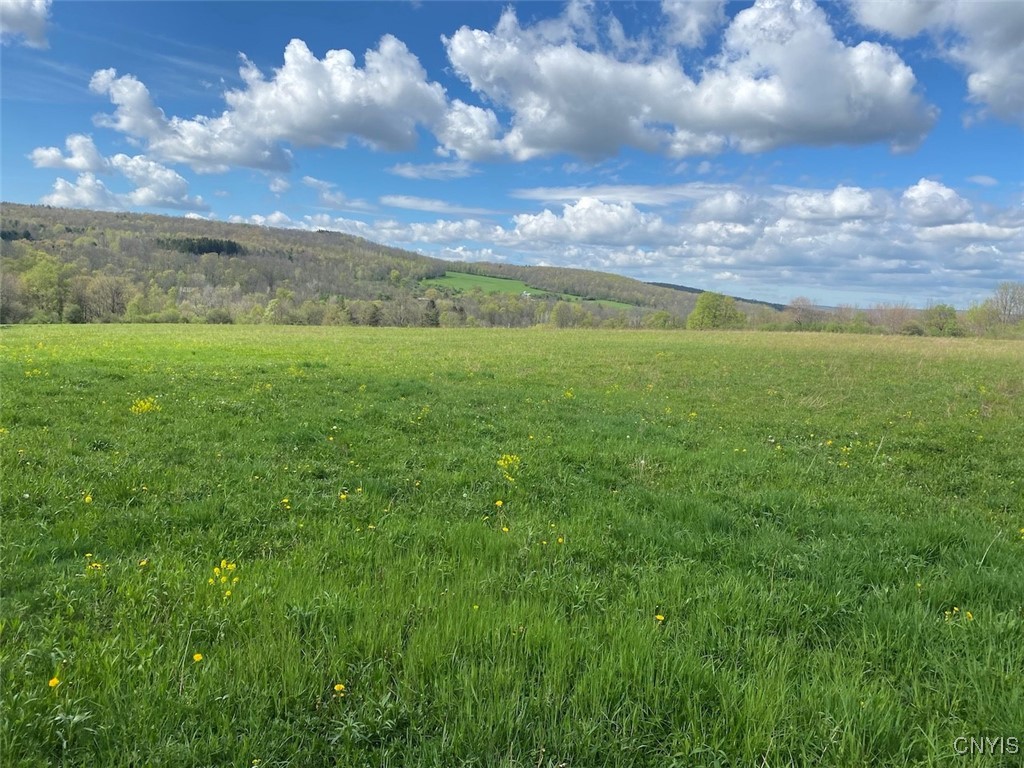 Cr-17, Belfast, New York image 3