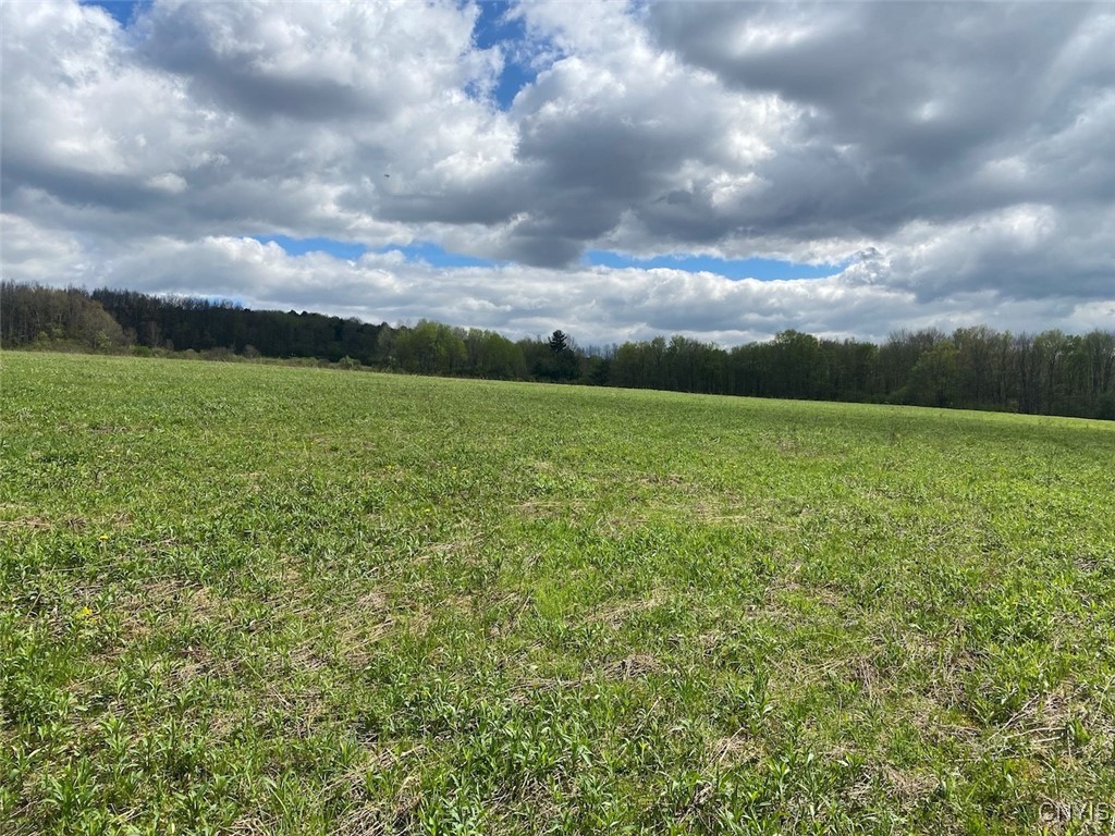 Cr-17, Belfast, New York image 2