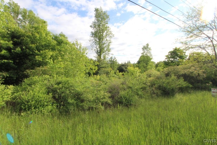 0000 State Route 49