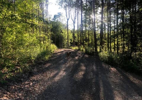 Vacant Land For Sale - Yellow Barn Road<br/> Dryden, NY 13068
