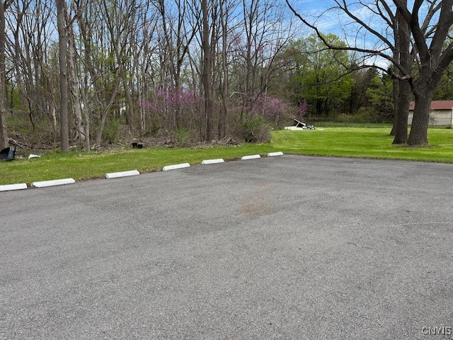 7141 Manlius Center Road, Manlius, New York image 11