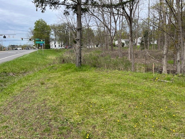 7141 Manlius Center Road, Manlius, New York image 12