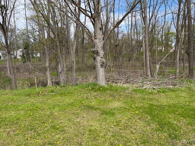 7141 Manlius Center Road, Manlius, New York image 13