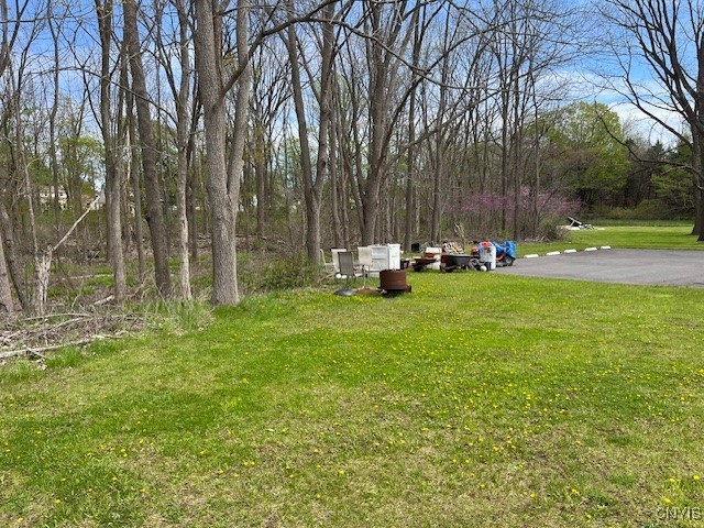 7141 Manlius Center Road, Manlius, New York image 14