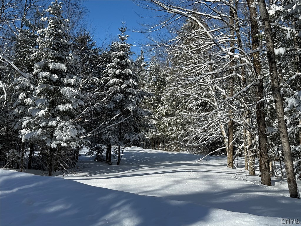 9971 Welsh District Road