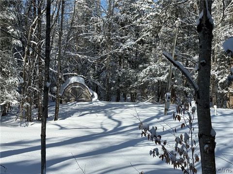 Photo of 9971 Welsh District Road, Remsen, NY 13438 (MLS # S1666633)