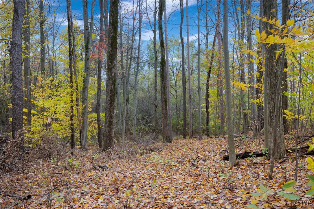 Lot # 30 Calemad Drive