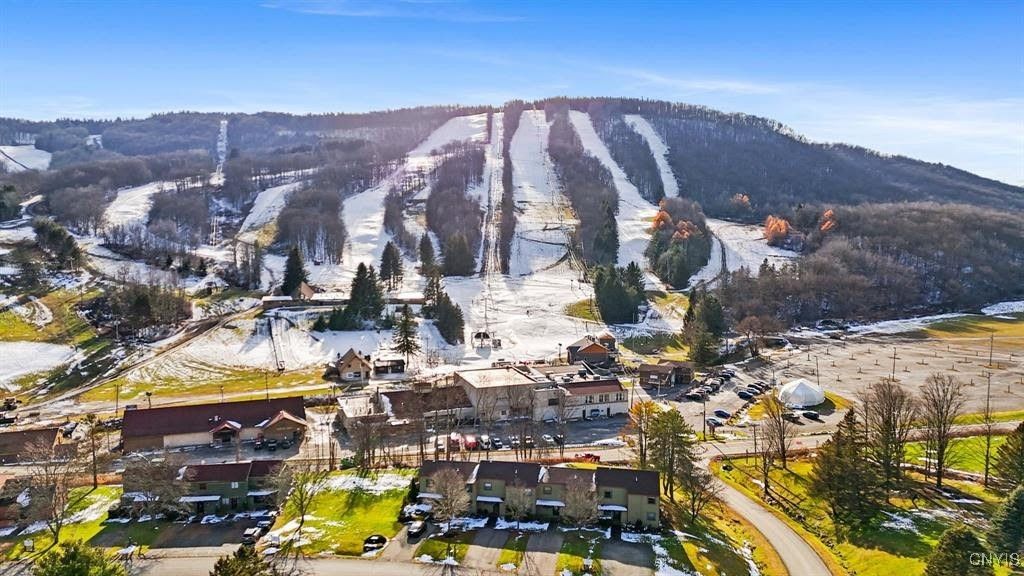 Photo of 2127 Darius Drive #18D, Virgil, NY 13045 (MLS # S1652430)