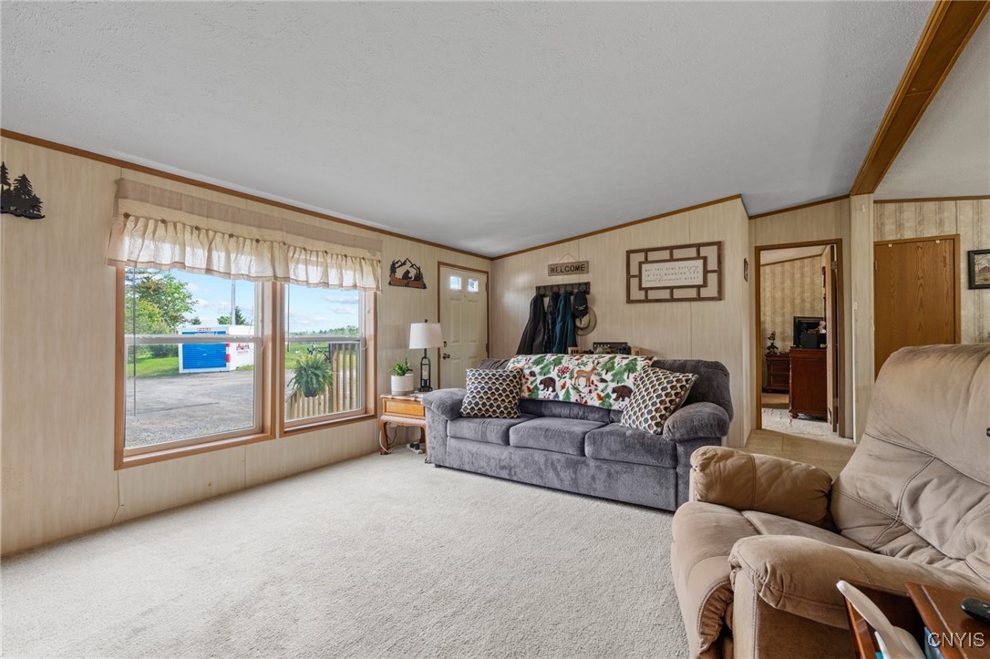 301 Tim Hill Road, Marathon, New York image 3