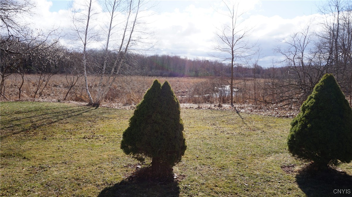46 Henderson Road, Sandy Creek, New York image 5