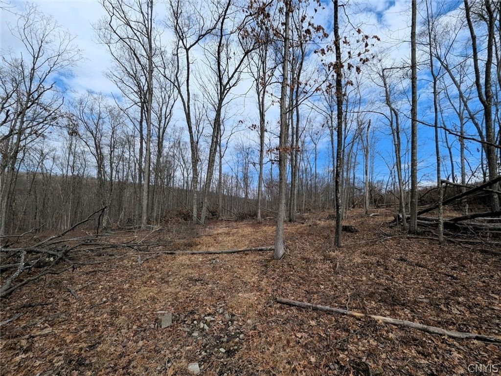 Photo of Welty Road, Lindley, NY 14858 (MLS # S1666718)