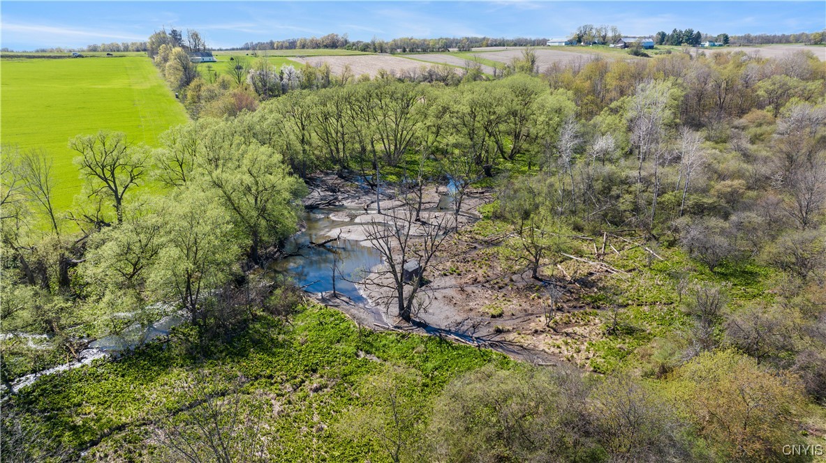 2802 Oak Hill Road, Moravia, New York image 30