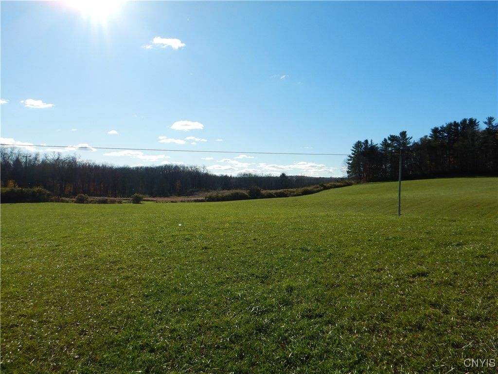 Photo of Route 220, Mc Donough, NY 13830 (MLS # S1652644)