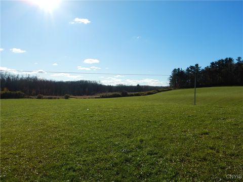 Vacant Land For Sale - Route 220<br/> Mc Donough, NY 13830