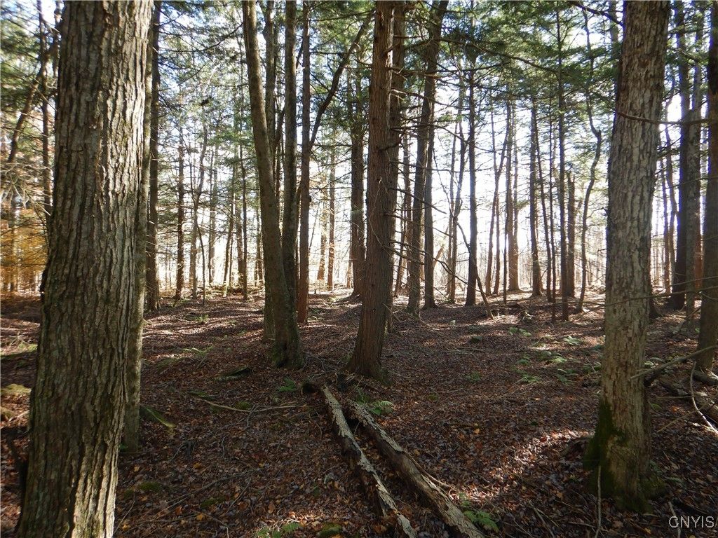 Photo of Route 220, Mc Donough, NY 13830 (MLS # S1652644)