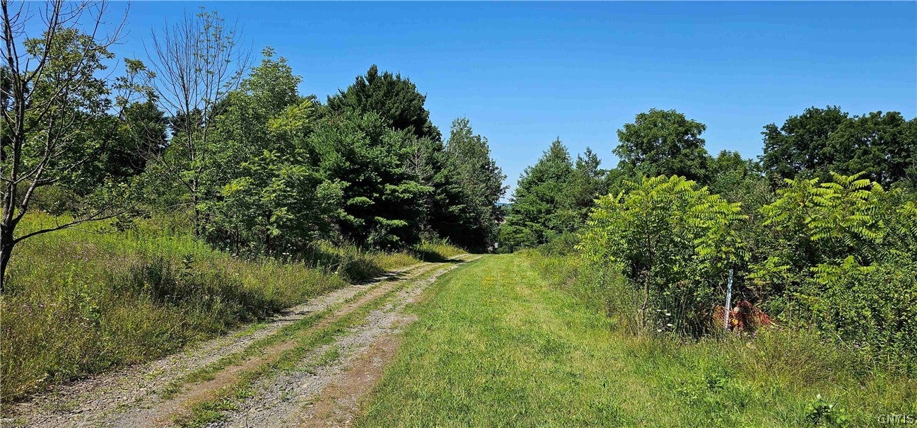 Ferguson Road