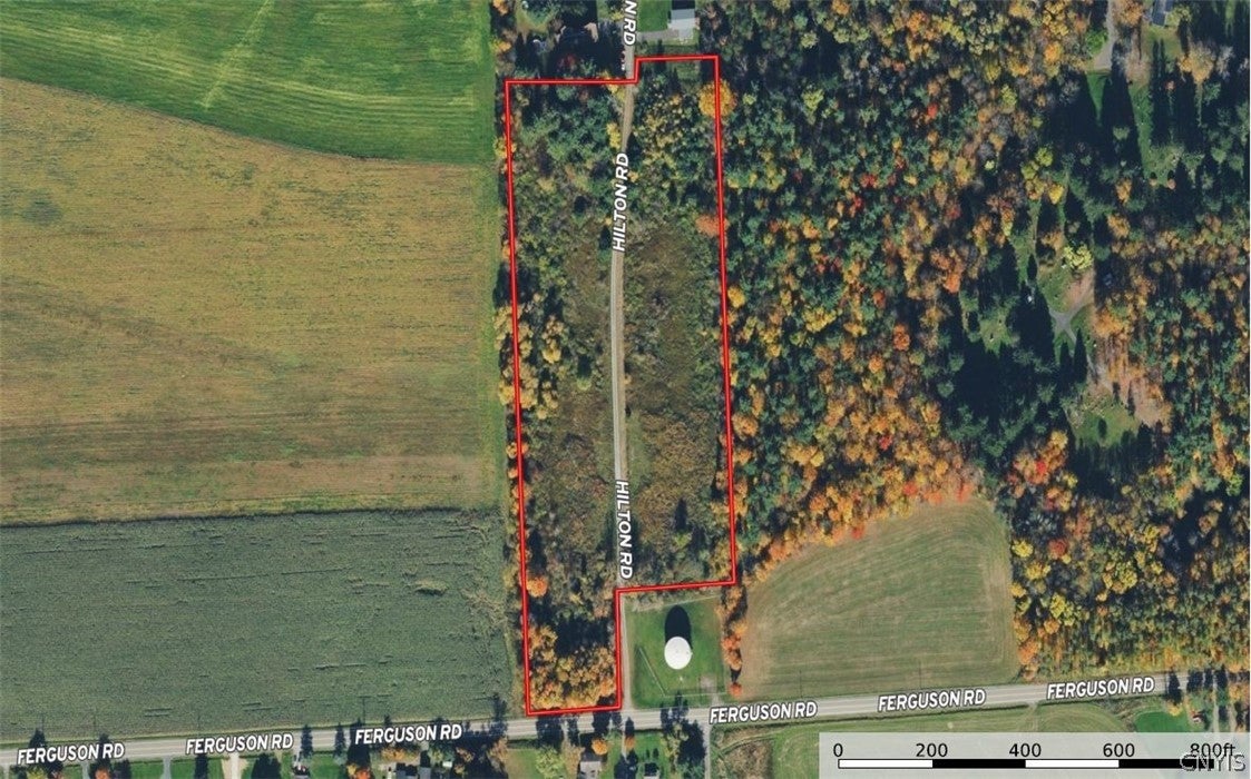 Ferguson Road
