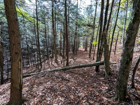 Akins Road Cohocton NY 14826