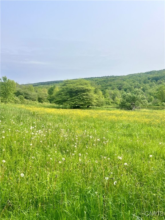 6720 Haights Gulf Road, Truxton, New York image 3