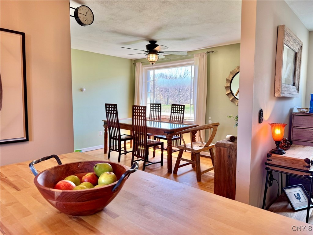 4977 N Eagle Village Road, Manlius, New York image 19