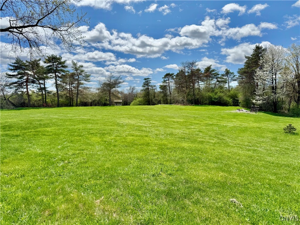 4977 N Eagle Village Road, Manlius, New York image 41