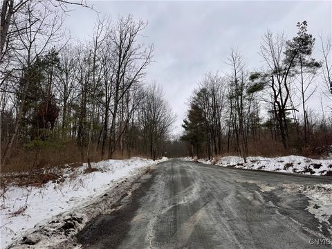 Vacant Land For Sale - 102 Beech Hill Road<br/> Newfield, NY 14867