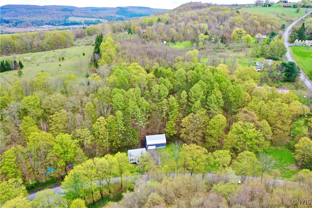 204 Creamery Road, Harford, New York image 2