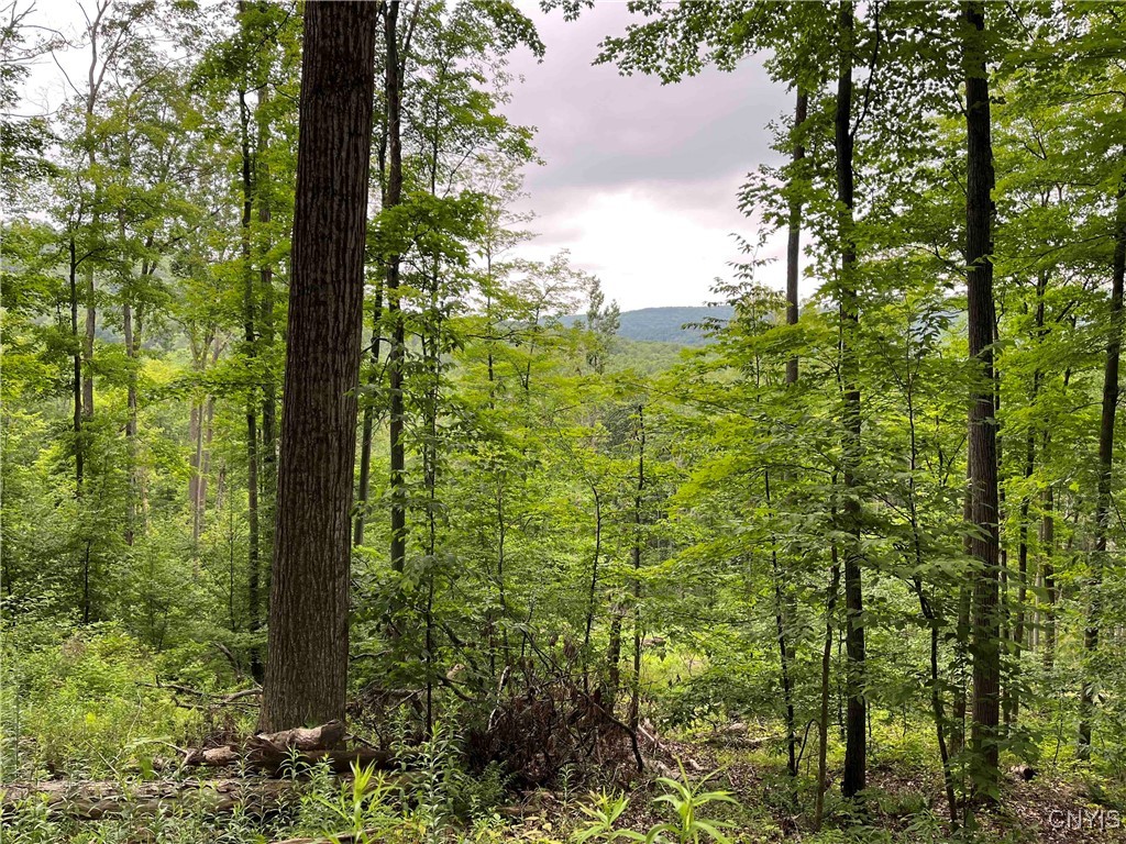 00 Co Road 20, Cuba, New York image 21