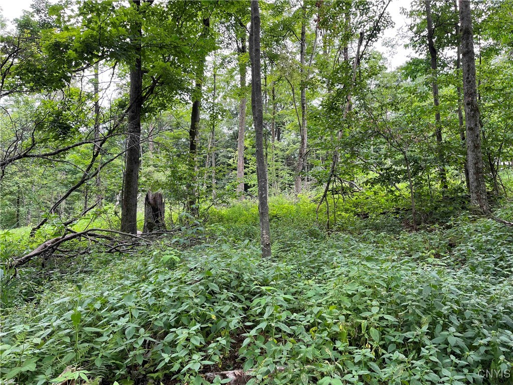 00 Co Road 20, Cuba, New York image 12