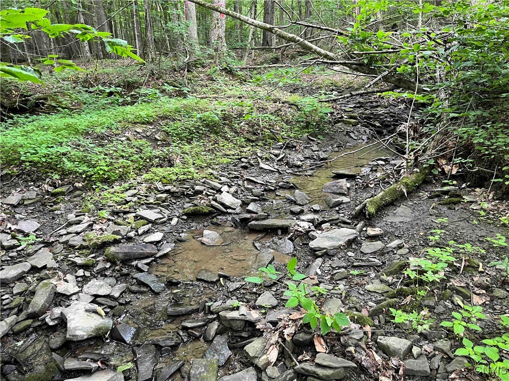 00 Co Road 20, Cuba, New York image 23